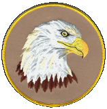 5-1/2 inch round embroidered patch Bald Eagle school, team, mascot